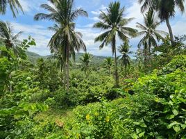  Grundstück zu verkaufen in Koh Samui, Surat Thani, Taling Ngam, Koh Samui, Surat Thani