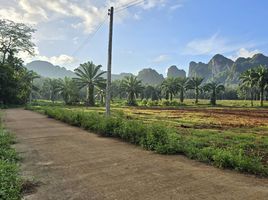  Grundstück zu verkaufen in Mueang Krabi, Krabi, Nong Thale, Mueang Krabi, Krabi