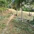  Land for sale in Thailand, Kathu, Kathu, Phuket, Thailand