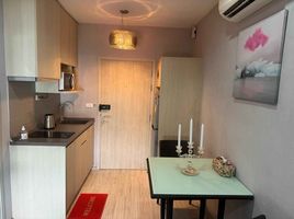 1 Schlafzimmer Wohnung zu vermieten im Ideo Mobi Sukhumvit Eastgate, Bang Na, Bang Na, Bangkok, Thailand