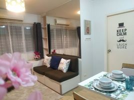 1 Schlafzimmer Wohnung zu vermieten im My Condo Sukhumvit 81, Bang Chak