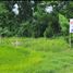  Land for sale in Nakhon Pathom, Wang Taku, Mueang Nakhon Pathom, Nakhon Pathom