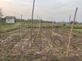  Grundstück zu verkaufen in Nam Yuen, Ubon Ratchathani, Song