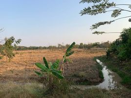  Grundstück zu verkaufen in Mueang Maha Sarakham, Maha Sarakham, Koeng, Mueang Maha Sarakham