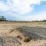  Land for sale at View Island, Pacific, Al Marjan Island