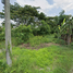  Land for sale in Aui Tha Market, Ton Pao, Ton Pao