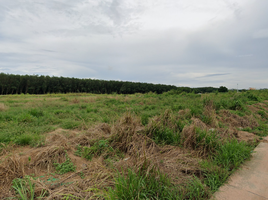  Grundstück zu verkaufen in Nikhom Phatthana, Rayong, Makham Khu, Nikhom Phatthana, Rayong