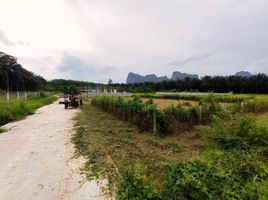  Grundstück zu verkaufen in Mueang Krabi, Krabi, Nong Thale, Mueang Krabi