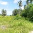  Land for sale in Phuket International Airport, Mai Khao, Sakhu