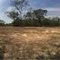  Land for sale in Tha Chang, Sao Hai, Tha Chang