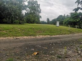  Land for sale in Nam Phrae, Hang Dong, Nam Phrae