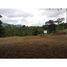  Grundstück zu verkaufen in Naranjo, Alajuela, Naranjo, Alajuela, Costa Rica