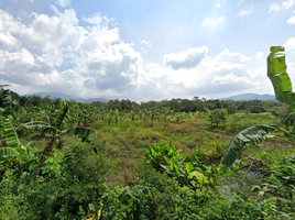  Land for sale in Lipa Noi, Koh Samui, Lipa Noi