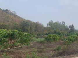  Land for sale in Mueang Lamphun, Lamphun, Mueang Chi, Mueang Lamphun