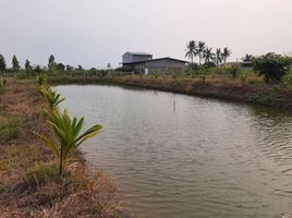  Grundstück zu verkaufen in Bang Len, Nakhon Pathom, Nin Phet, Bang Len, Nakhon Pathom