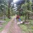  Land for sale in Thailand, Bang Wan, Khura Buri, Phangnga, Thailand