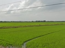 Land for sale in Phra Achan, Ongkharak, Phra Achan
