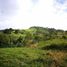  Land for sale in Guanacaste, Tilaran, Guanacaste