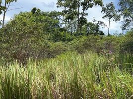  Grundstück zu verkaufen in Khlong Thom, Krabi, Khlong Thom Nuea