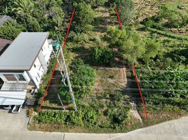 Land for sale in Pa Khlok, Phuket, Pa Khlok, Thalang