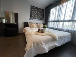 Studio Apartment for rent at Ideo Sukhumvit 93, Bang Chak, Phra Khanong