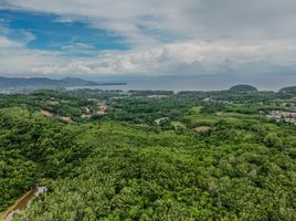  Grundstück zu verkaufen in Thalang, Phuket, Choeng Thale