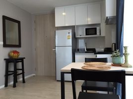 1 Bedroom Condo for rent at Palm Springs Nimman (Parlor), Suthep