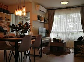2 Schlafzimmer Wohnung zu verkaufen im D Condo Ping, Fa Ham, Mueang Chiang Mai, Chiang Mai