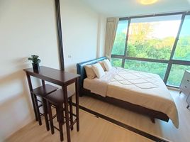 1 Schlafzimmer Wohnung zu vermieten im Connext, Talat Nuea, Phuket Town