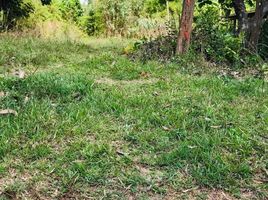  Land for sale in Nakhon Phanom, Ban Kho, Phon Sawan, Nakhon Phanom