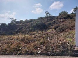  Land for sale in Samui International Airport, Bo Phut, Bo Phut