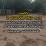  Land for sale in Mueang Nakhon Ratchasima, Nakhon Ratchasima, Ban Mai, Mueang Nakhon Ratchasima
