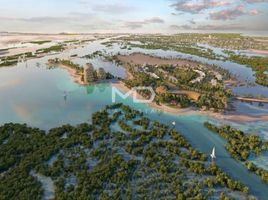  Land for sale at Al Jubail Island, Saadiyat Beach