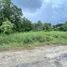  Grundstück zu verkaufen in Mueang Nakhon Si Thammarat, Nakhon Si Thammarat, Pak Nakhon, Mueang Nakhon Si Thammarat, Nakhon Si Thammarat
