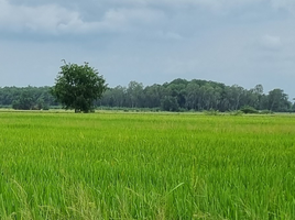  Land for sale in Phitsanulok, Phrom Phiram, Phrom Phiram, Phitsanulok