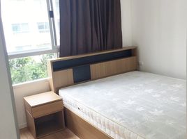 1 Schlafzimmer Wohnung zu vermieten im Lumpini Ville Onnut 46, Suan Luang, Suan Luang