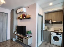 2 Bedroom Apartment for rent at KnightsBridge Collage Sukhumvit 107, Bang Na