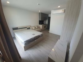 Studio Apartment for rent at Dolce Lasalle, Bang Na