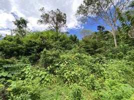  Land for sale in Karon Beach, Karon, Karon