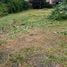  Land for sale in Puerto Lopez Manabi, Salango, Puerto Lopez