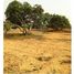  Land for sale in India, Arakkonam, Vellore, Tamil Nadu, India