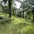 ขายที่ดิน ใน ป่าคลอก, ภูเก็ต, ป่าคลอก, ถลาง