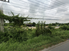  Land for sale in Sing Buri, Ton Pho, Mueang Sing Buri, Sing Buri