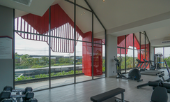 รูปถ่าย 2 of the Fitnessstudio at เวนิว ไอดี มอเตอร์เวย์-พระราม9