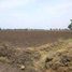  Land for sale in Madhya Pradesh, Goharganj, Raisen, Madhya Pradesh