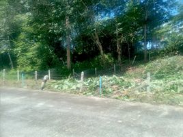  Land for sale in Thep Krasattri, Thalang, Thep Krasattri