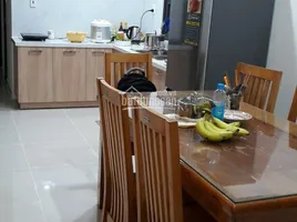 3 Schlafzimmer Wohnung zu vermieten im Khu đô thị VCN Phước Hải, Phuoc Hai