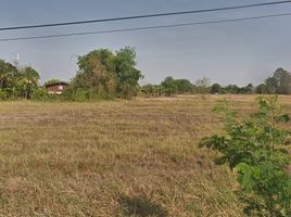  Land for sale in Ban Na, Ban Na, Ban Na