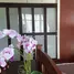 3 Bedroom Villa for rent in Phra Khanong, Bangkok, Phra Khanong