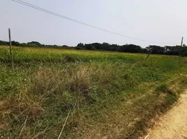  Land for sale in Nong Faek, Saraphi, Nong Faek